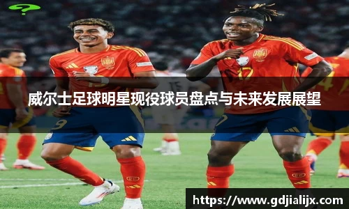 威尔士足球明星现役球员盘点与未来发展展望